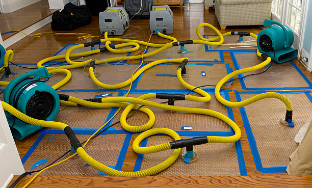 Professional Burst Pipe Water Damage technician working in Henryville, IN